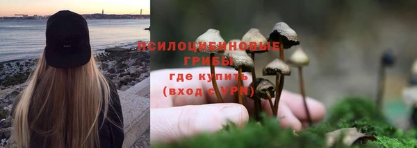 МДМА Богородск