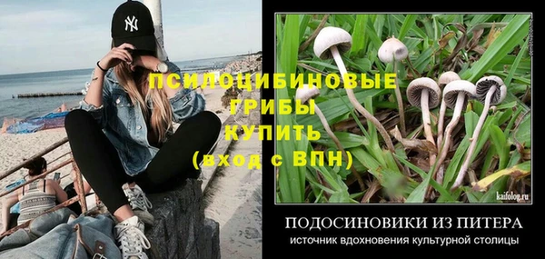 не бодяженный Богданович