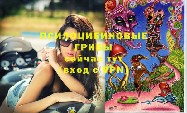 ПСИЛОЦИБИНОВЫЕ ГРИБЫ Богородицк