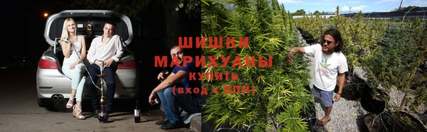 ПСИЛОЦИБИНОВЫЕ ГРИБЫ Богородицк