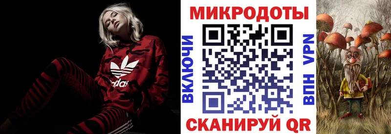 Псилоцибиновые грибы мицелий  KRAKEN ССЫЛКА  Южно-Сахалинск  купить закладку 