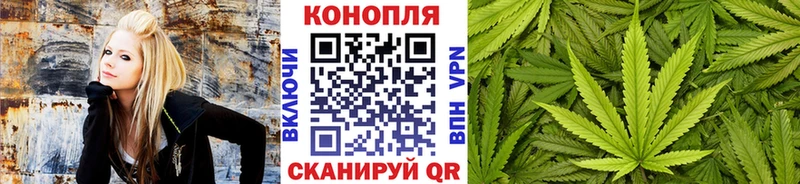 Бошки Шишки OG Kush  Южно-Сахалинск 